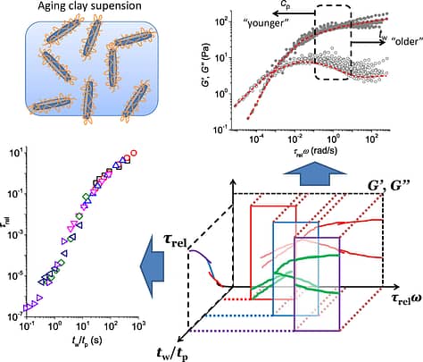 Universal gelation dynamics of PEG-adsorbed clay