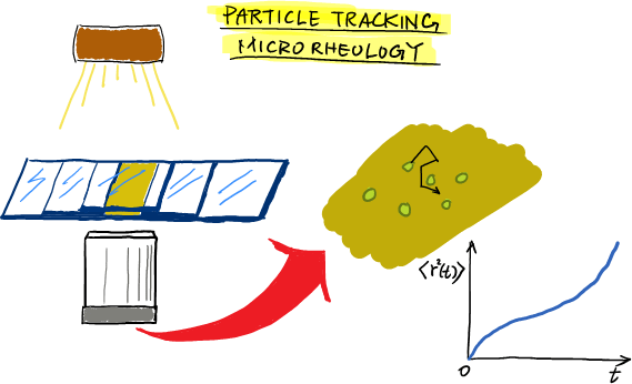 Particle tracking microrheology